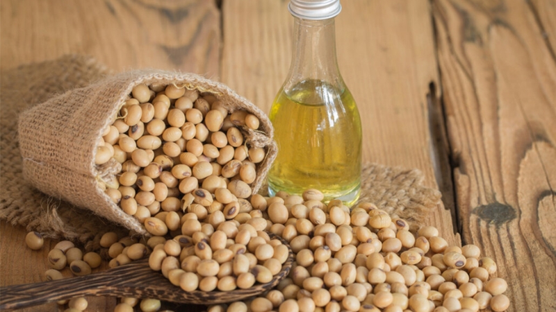 Dầu đậu n&agrave;nh chứa nhiều vitamin E tốt cho cơ thể