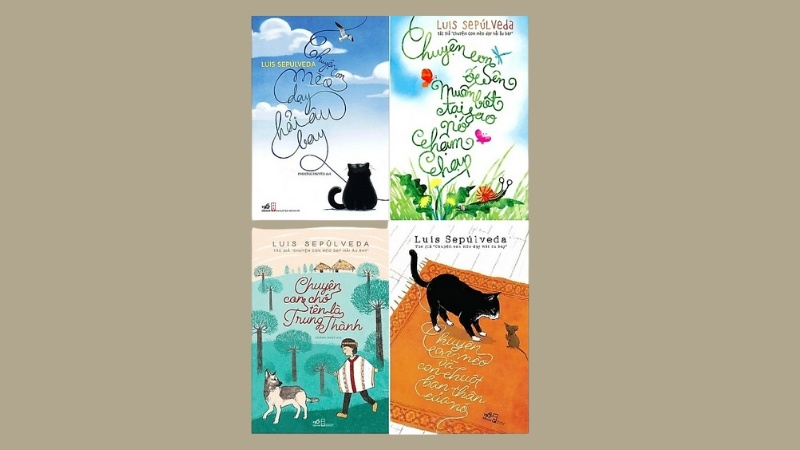 Để chọn truyện kể cho bé phù hợp, hãy dựa vào mục tiêu đọc, độ tuổi, nội dung và hình ảnh sinh động