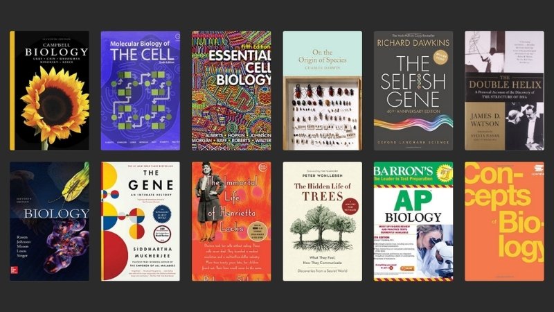 Tiki quy tụ hàng ngàn sách Human & Biology Science giúp bạn làm chủ tri thức y sinh thế giới