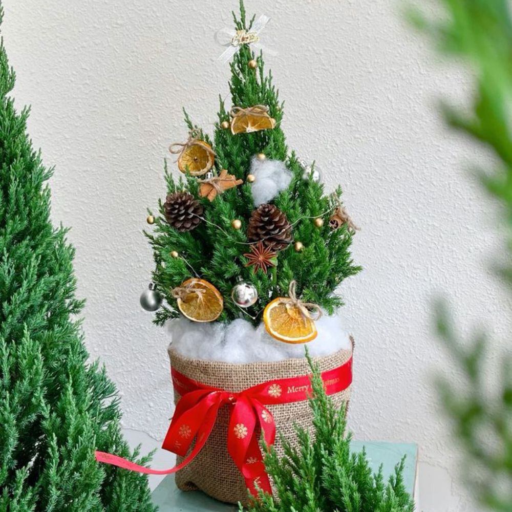 bé trang trí cây thông noel