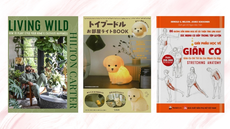 Reference l&agrave; t&agrave;i liệu hỗ trợ học tập, nghi&ecirc;n cứu v&agrave; l&agrave;m việc hiệu quả