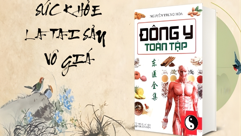 S&aacute;ch Y Học Cổ Truyền &ndash; Cung cấp kiến thức từ bắt mạch, chẩn đo&aacute;n đến bốc thuốc