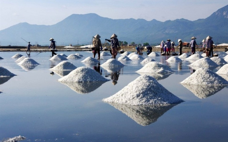 Muối l&agrave; nguy&ecirc;n liệu kh&ocirc;ng thể thiếu cho mọi m&oacute;n ăn trong gia đ&igrave;nh