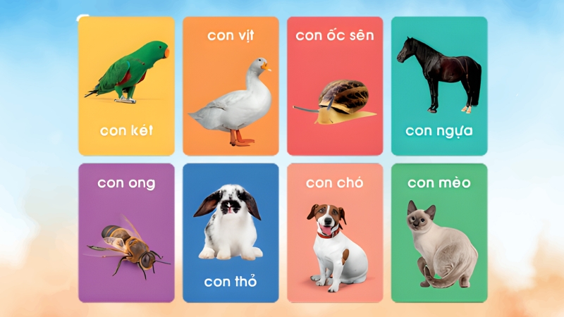 Flashcards hỗ trợ ph&aacute;t triển ng&ocirc;n ngữ v&agrave; tư duy cho trẻ nhỏ.