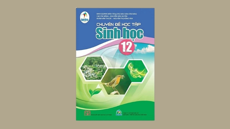 Thẻ luyện thi được ph&acirc;n loại đa dạng tại Tiki