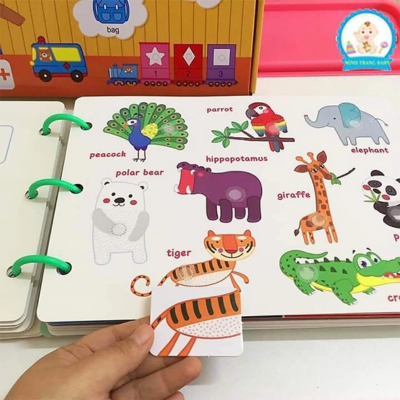 Đồ chơi vật lý