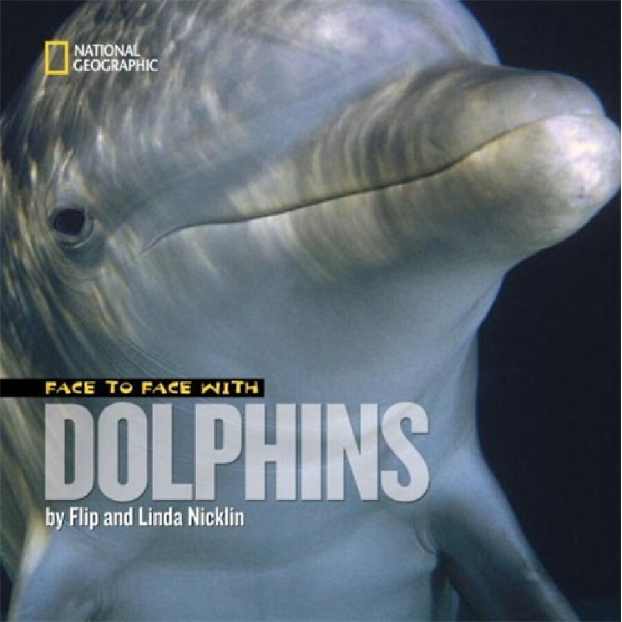 1319191 , 1597127599610 , 62_5309703 , 136000 , Face-to-Face-with-Dolphins-62_5309703 , tiki.vn , Face to Face with Dolphins Face to Face with Dolphins