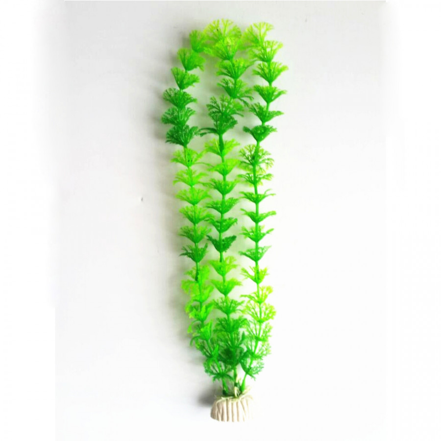 1794458 , 3453988056953 , 62_13192041 , 223000 , 15-Artificial-Aquarium-Plastic-Grass-Green-Water-Grass-Fish-Tank-Ornament-62_13192041 , tiki.vn , 15" Artificial Aquarium Plastic Grass Green Water Grass Fish Tank Ornament 15" Artificial Aquarium Plastic Grass Green Water Grass Fish Tank Ornament