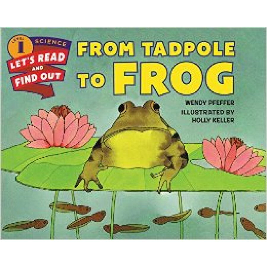 1241425 , 6998233148474 , 62_5285047 , 179000 , From-Tadpole-to-Frog-62_5285047 , tiki.vn , From Tadpole to Frog From Tadpole to Frog