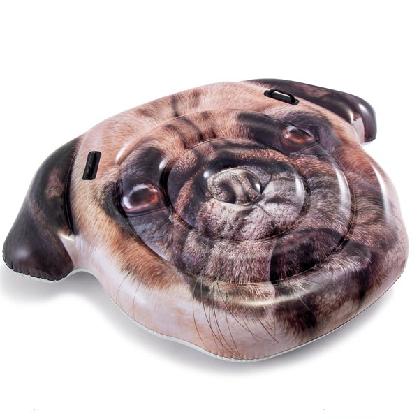 2012810 , 2375856187457 , 62_14850975 , 495000 , Phao-boi-mat-chu-cho-pug-khong-lo-INTEX-58785-62_14850975 , tiki.vn , Phao bơi mặt chú chó pug khổng lồ INTEX 58785 Phao bơi mặt chú chó pug khổng lồ INTEX 58785