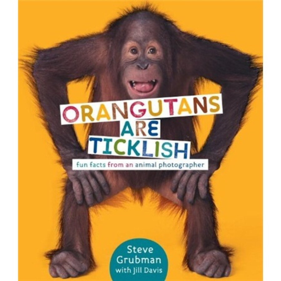 1319193 , 5558504747471 , 62_5309719 , 1897000 , Orangutans-Are-Ticklish-Fun-Facts-from-an-Animal-Photographer-62_5309719 , tiki.vn , Orangutans Are Ticklish: Fun Facts from an Animal Photographer Orangutans Are Ticklish: Fun Facts from an Animal Photographer