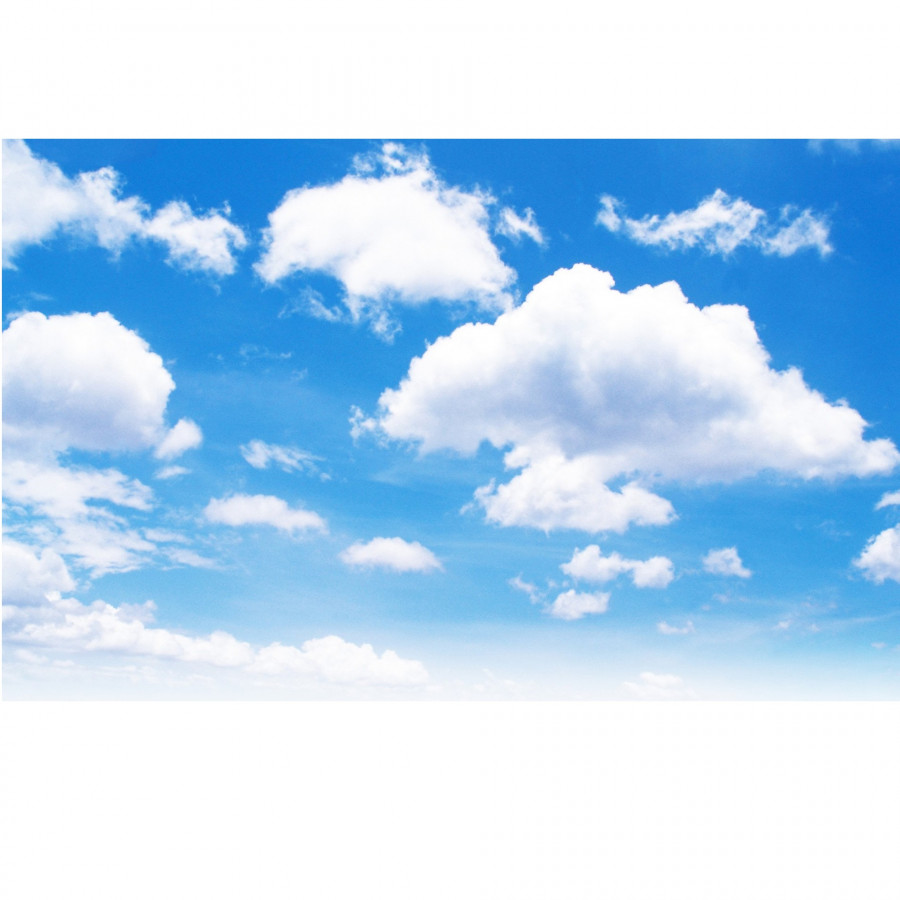 Tranh dán trần bầu trời mây xanh TN70