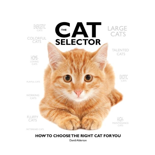 778993 , 2463628616189 , 62_11446346 , 678000 , Cat-Selector-62_11446346 , tiki.vn , Cat Selector Cat Selector