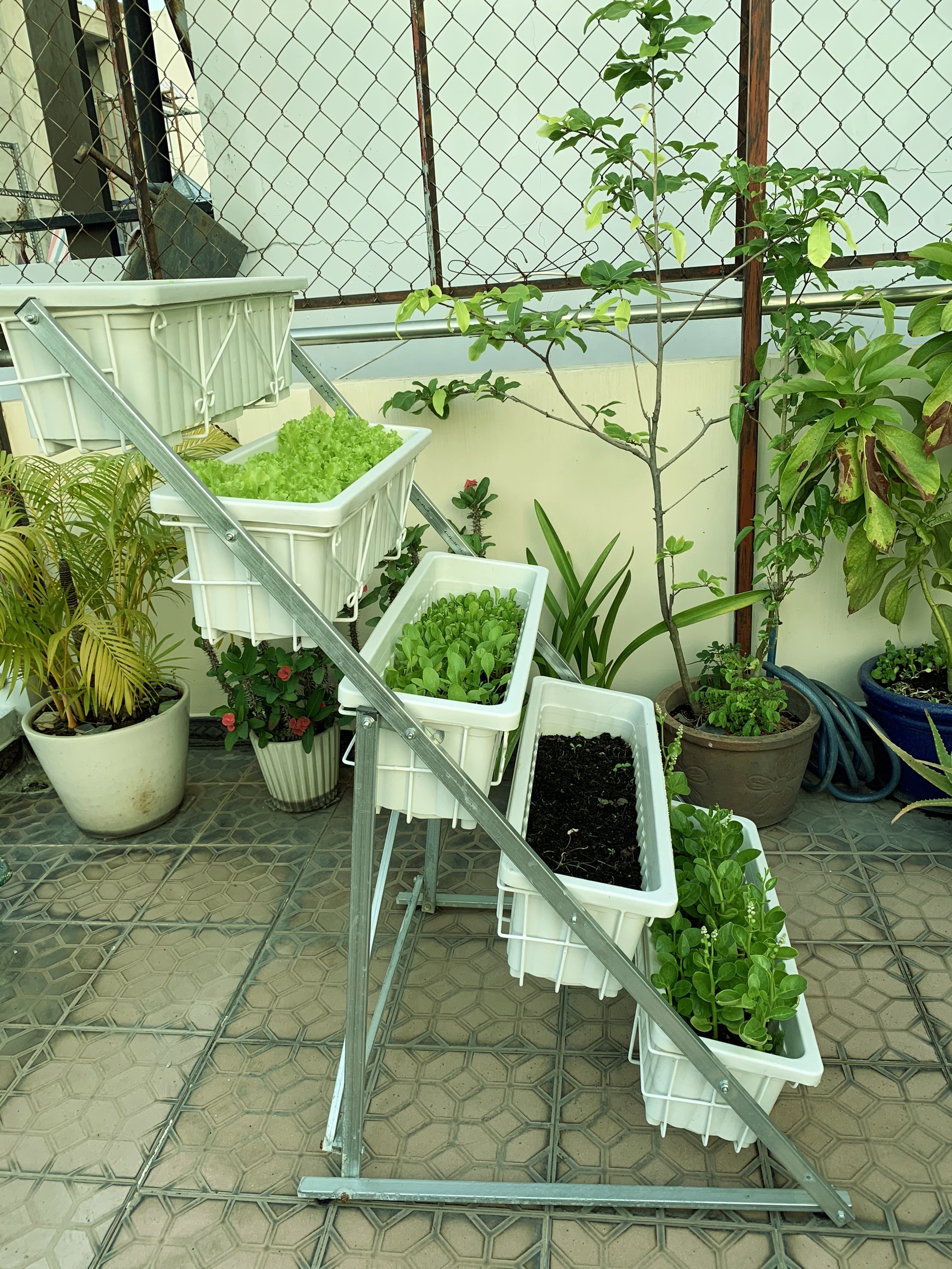 1L Phân Hữu Cơ Vi Sinh pha ra 300L Bón Rau, Hoa Cảnh & Cây Ăn Trái