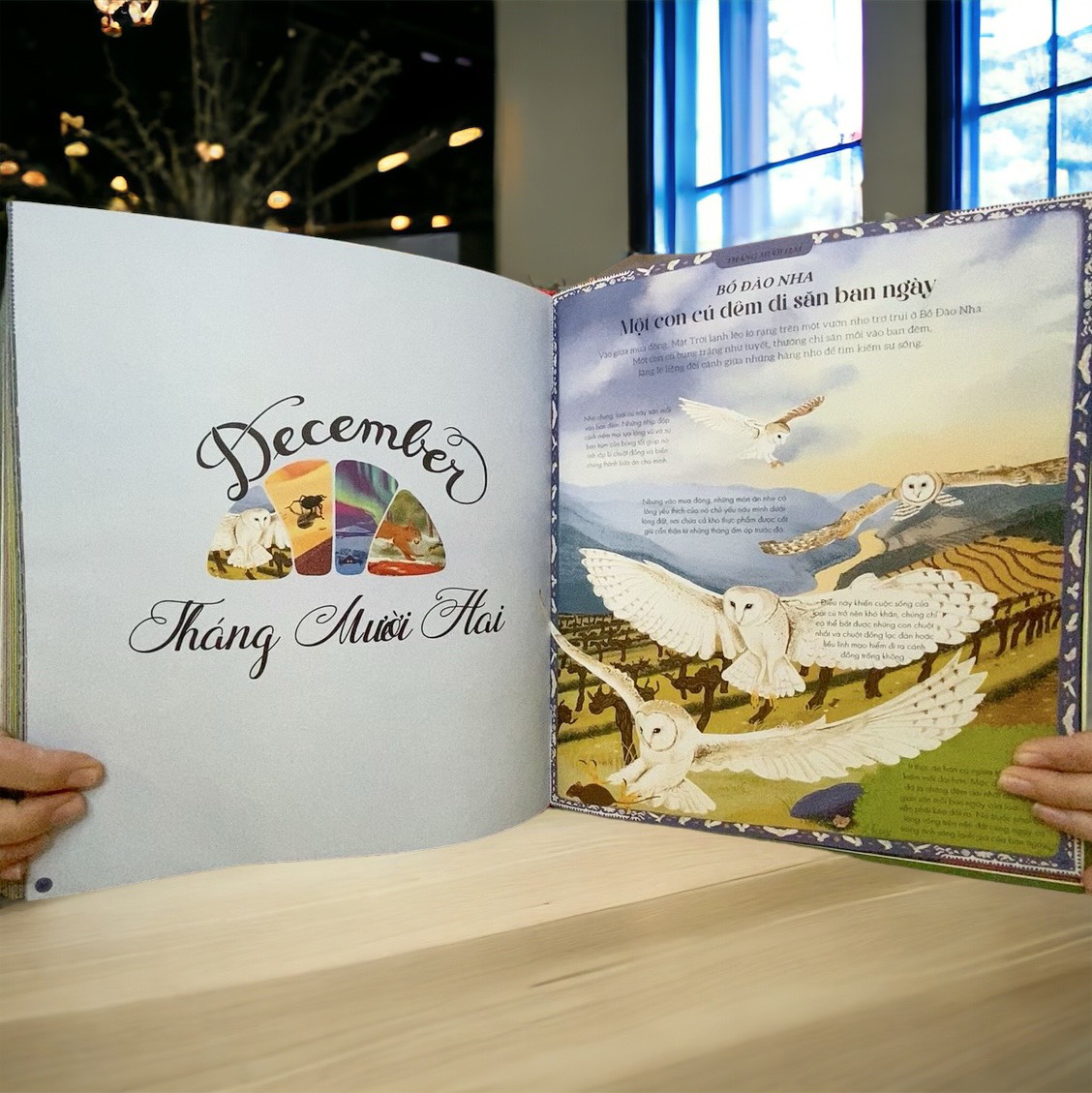 Sách cho bé - Vòng Quanh Thế Giới Cùng Mẹ Thiên Nhiên - Sách tranh, bìa cứng, khổ lớn - Dành cho bé từ 4 tuổi