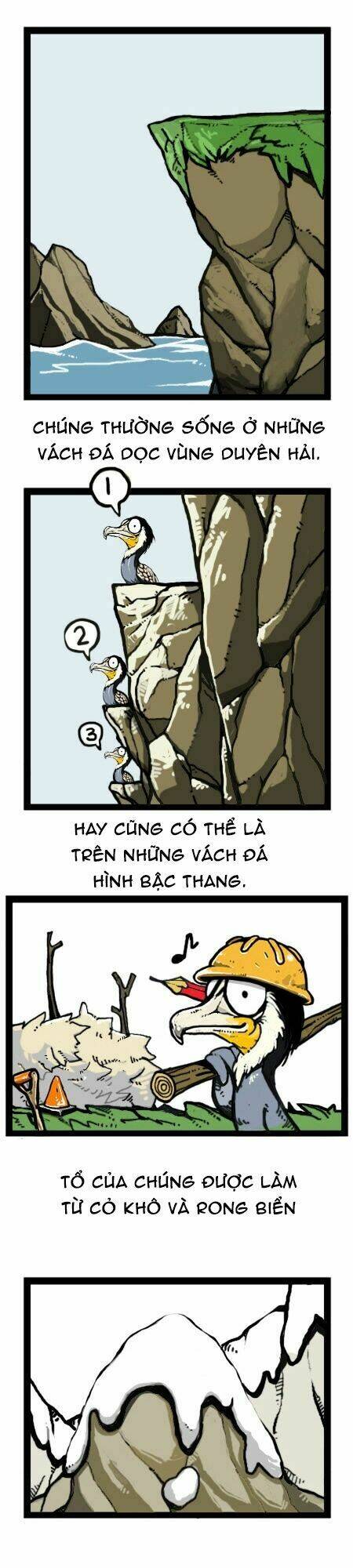 earth, human, and animal chapter 20 17