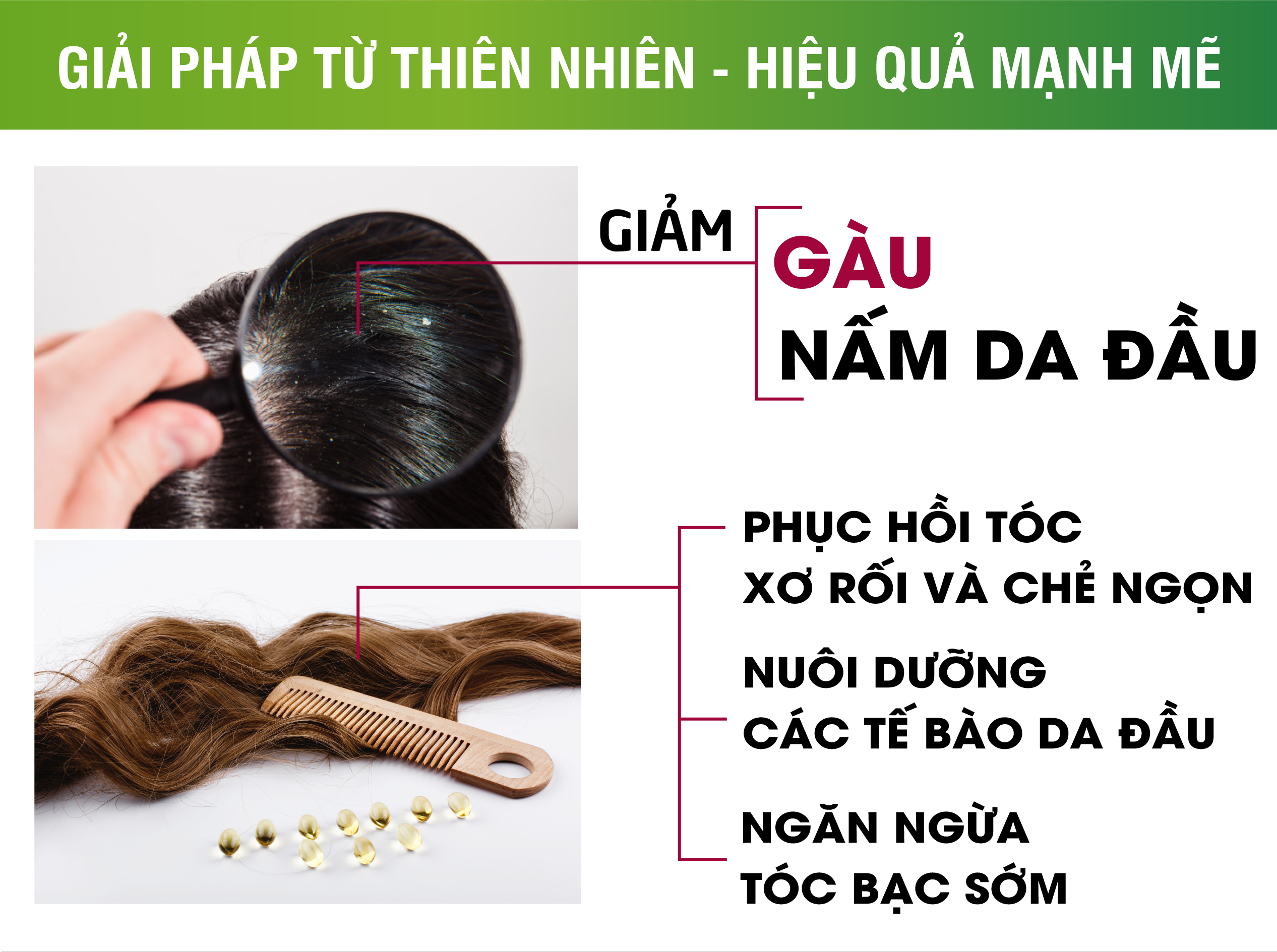 [2 chai] Dầu gội thảo dược Blacksilk - Kích mọc tóc, tái tạo nang tóc đen, giảm gãy rụng tóc, nuôi dưỡng tóc từ gốc. Sản phẩm của Vioba, chai 500ml