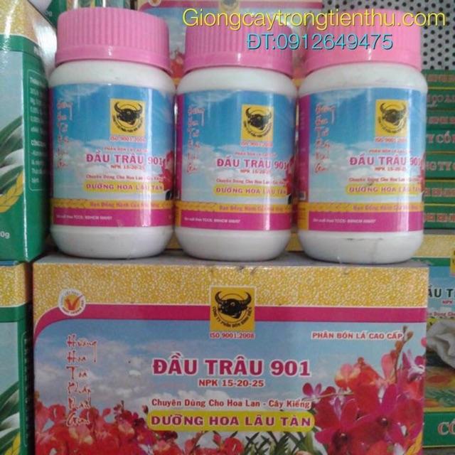 PHÂN BÓN LÁ ĐẦU TRÂU CHUYÊN DÙNG CHO LAN VÀ CÂY CẢNH