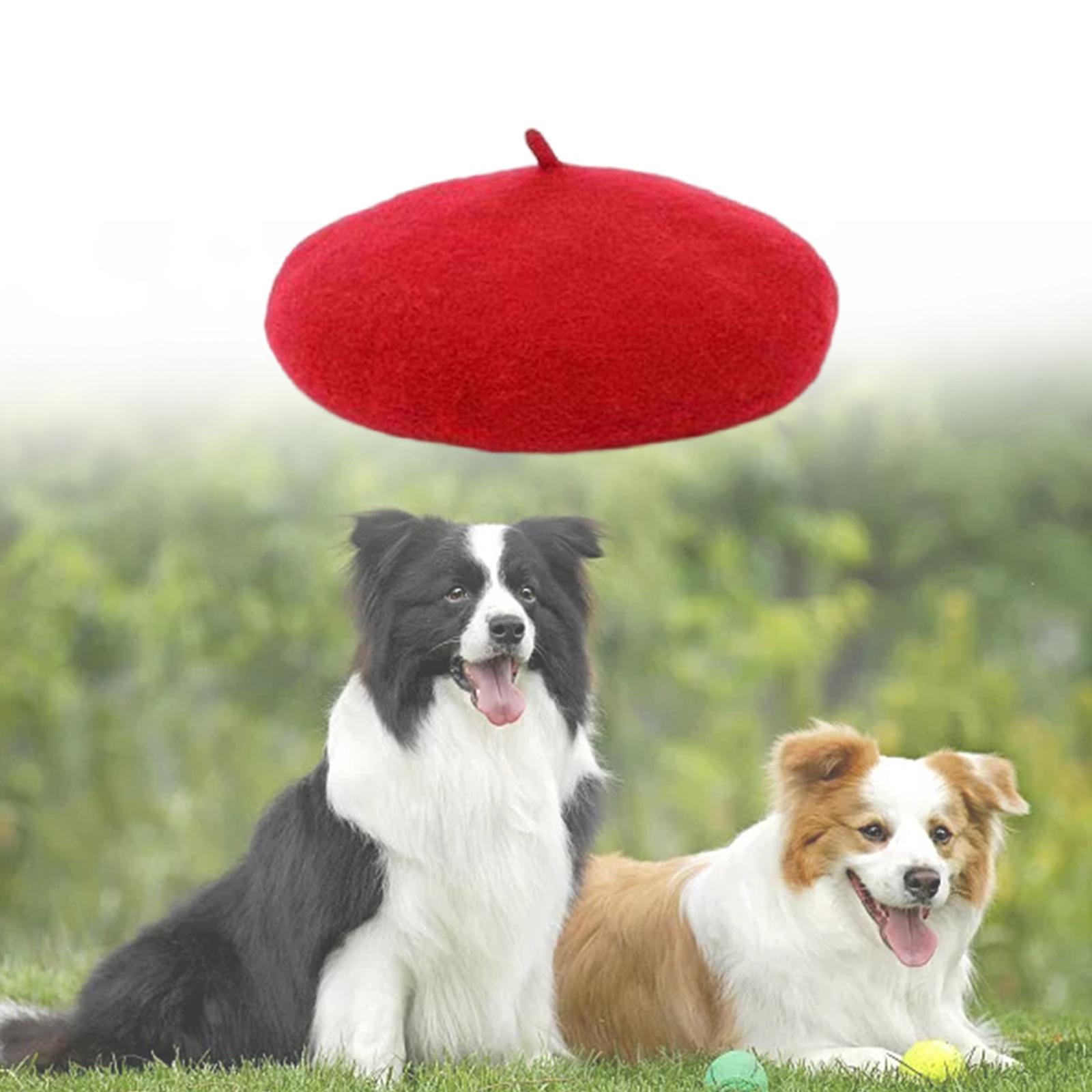 2Pcs Dog Cat  Wool Yard Hat Durable Adjustable Elastic Rope