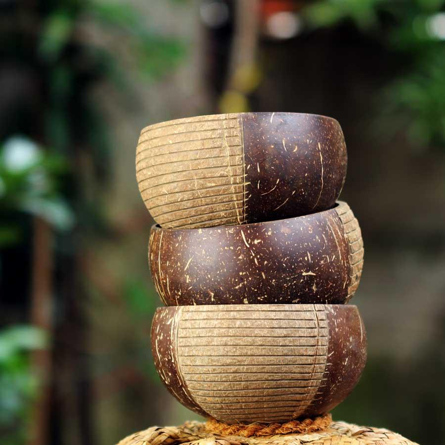 Tô/Chén/Bát gáo dừa hoa văn Apus