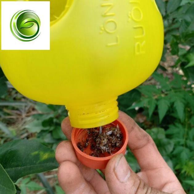 Lồng bẫy ruồi vàng, bẫy ong sét 5 chiếc
