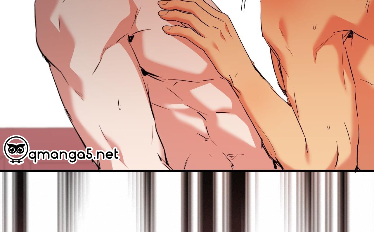 những chú thỏ của hapypy chapter 63 241