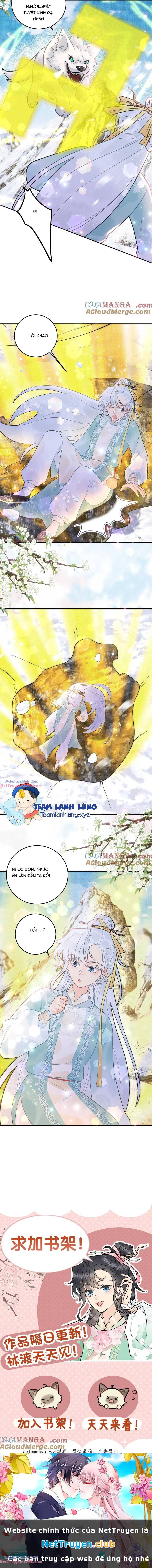 toàn tông môn đều là kẻ si tình, chỉ có ta là tỉnh táo chapter 175 2