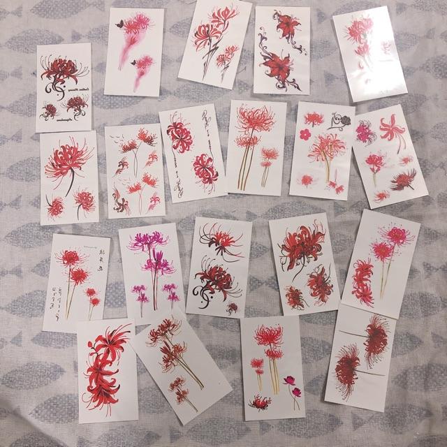 Set 20 tấm hình xăm dán hoa bỉ ngạn