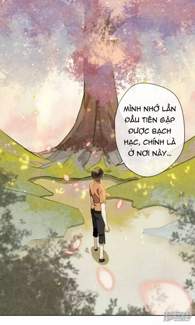 đêm ảo mộng cực lạc chapter 27 24