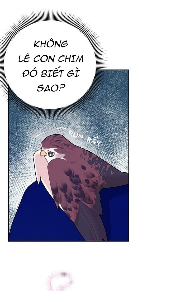 công chúa của loài chim chapter 37.1 38