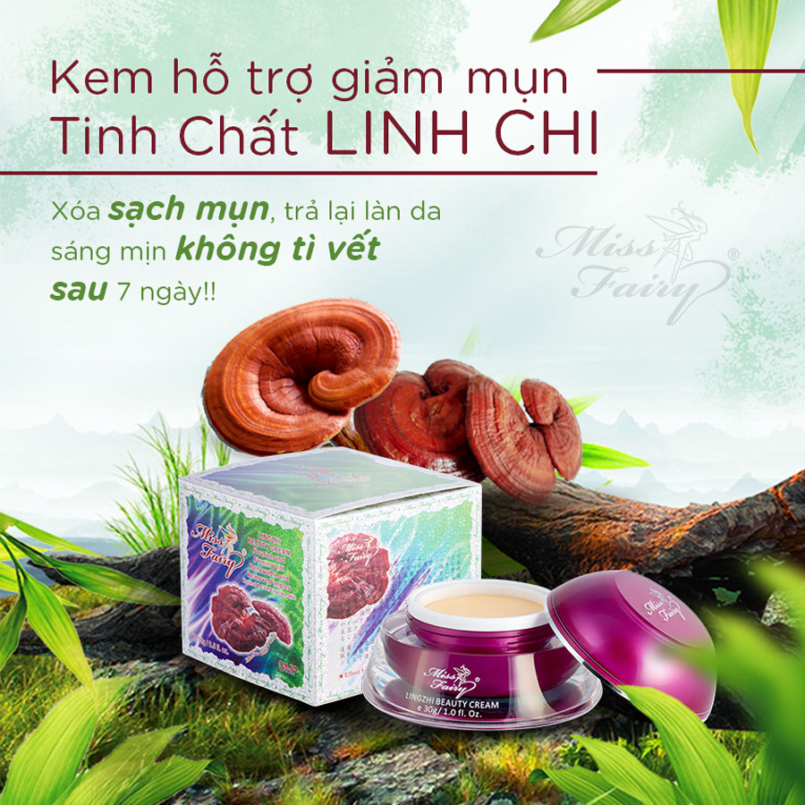 Kem Dưỡng Da Hỗ Trợ Trị Mụn Tinh Chất Linh Chi Miss Fairy (15g)