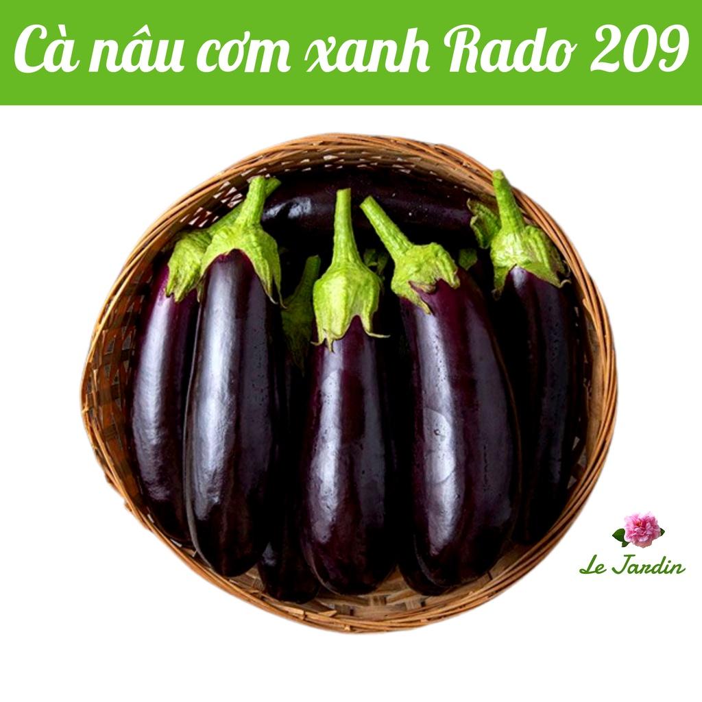 Hạt giống cà nâu cơm xanh Rado 209 gói 0,5gr - DỄ TRỒNG