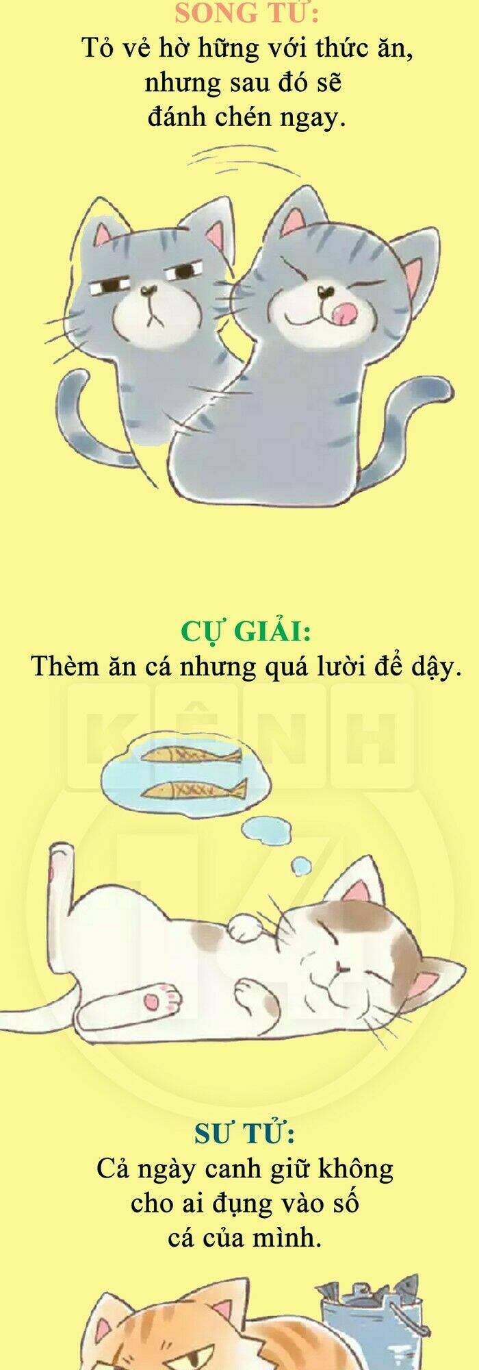 12 cung hoàng đạo vui chapter 36 13