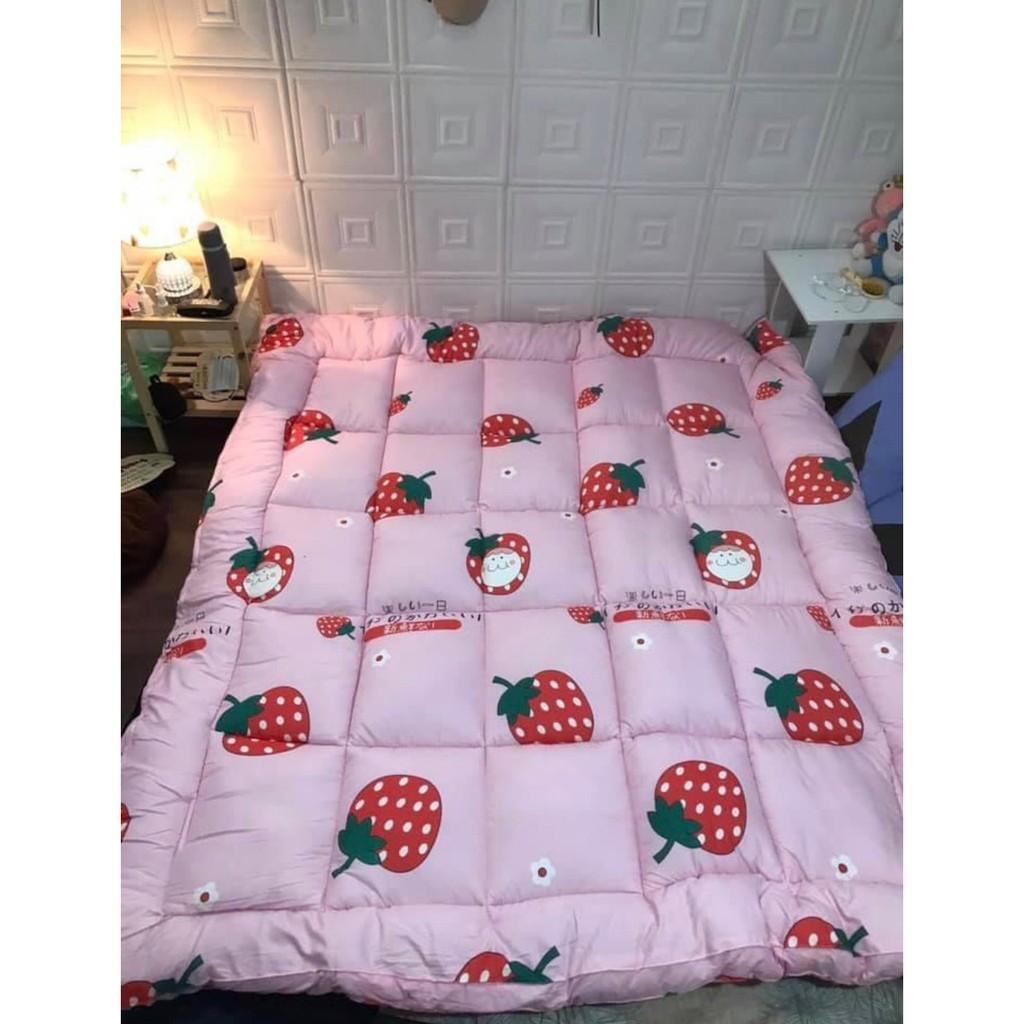 Nệm giường Topper đa năng tiện dụng 1m4x2m