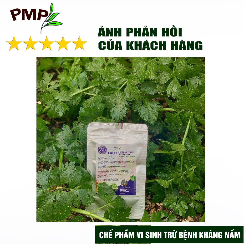 Chế phẩm vi sinh Killpa PMP trừ bệnh, kháng nấm cho rau sạch, hoa, cây cảnh, an toàn, hiệu quả