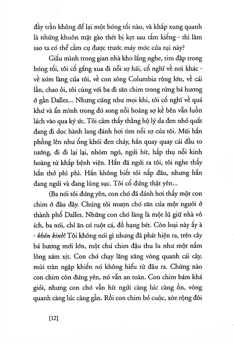 Bay Trên Tổ Chim Cúc Cu (Tái Bản)
