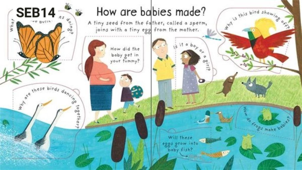 Sách - Anh: First Questions and Answers: Where do babies come from?