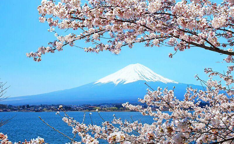 album natural wallpapers chapter 41 26