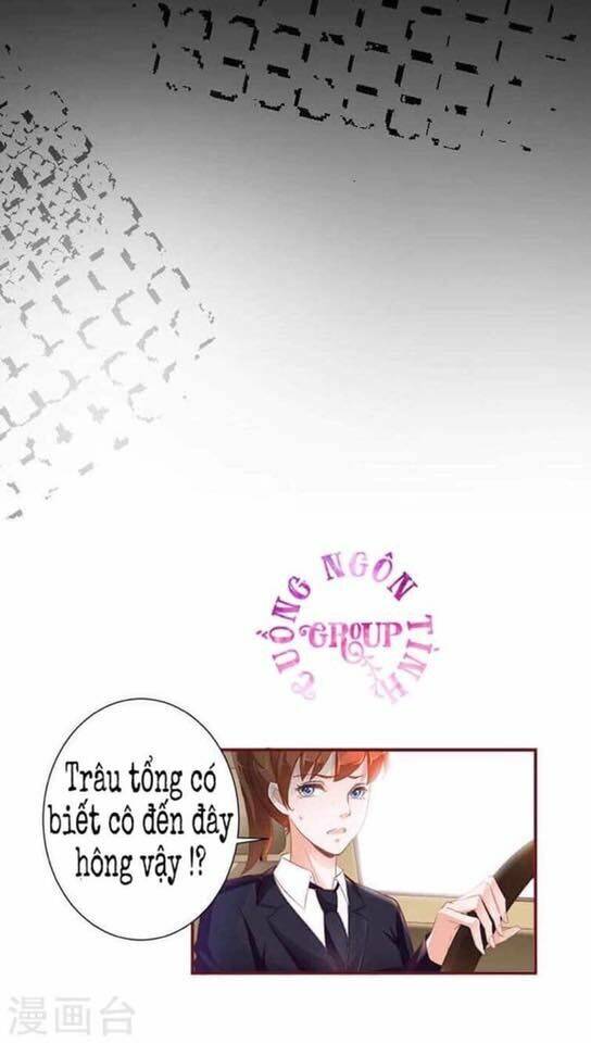 người vợ bí ẩn của tổng tài chapter 18 30