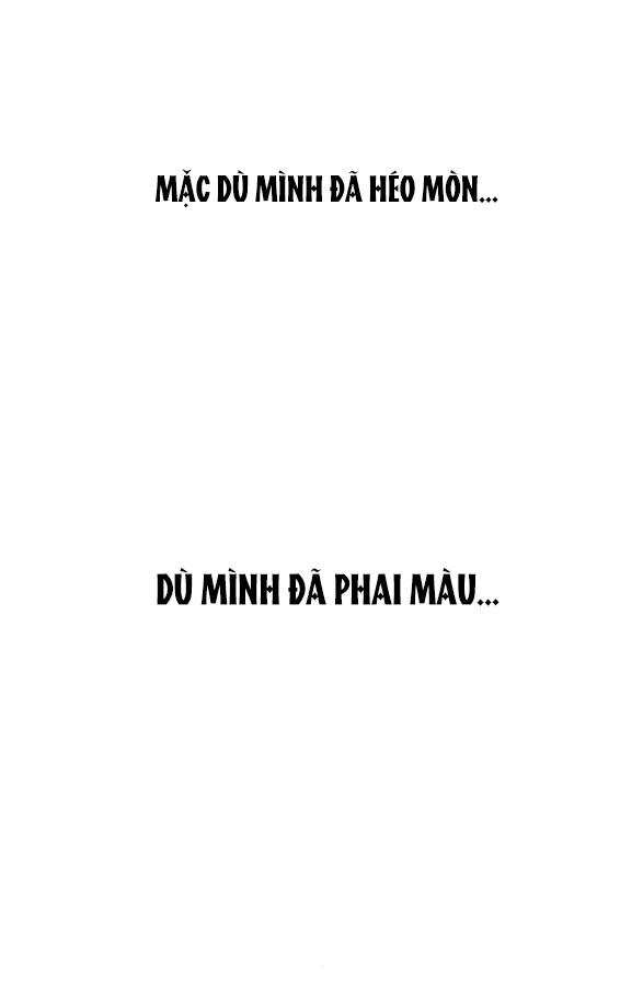 [18+] Nước Mắt Trên Đóa Hoa Tàn chapter 36.1 15