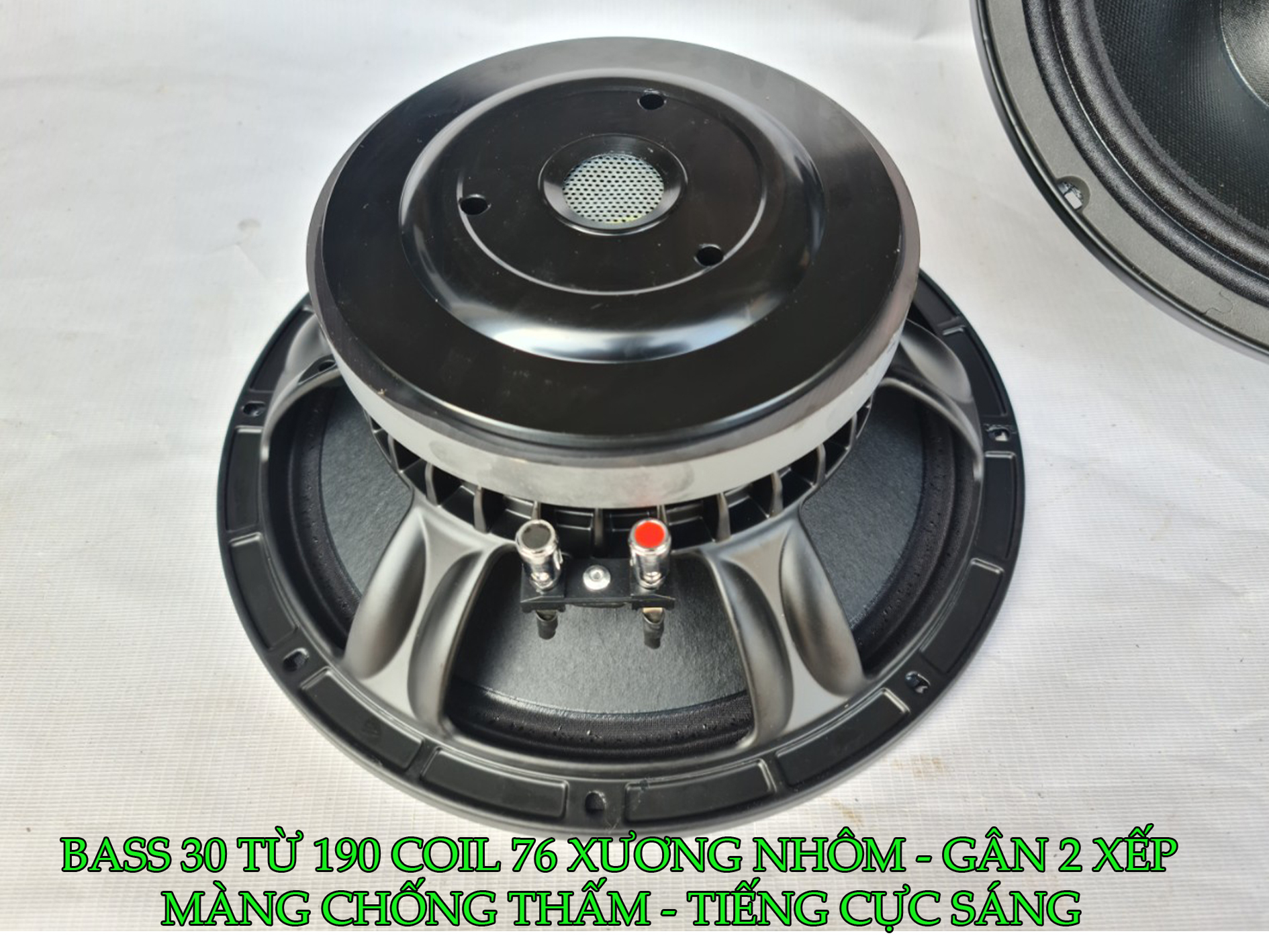 LOA BASS 30 TỪ 190 COIL 76 XƯƠNG NHÔM - CÔNG SUẤT 700W