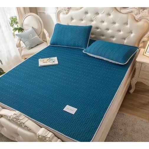 CHIẾU ĐIỀU HOÀ CAO SU NON ️FreeShip️ Chiếu TENCEL TẶNG KÈM 2 VỎ GỐI Dài 1m6-1m8-2m2 Rộng 2m