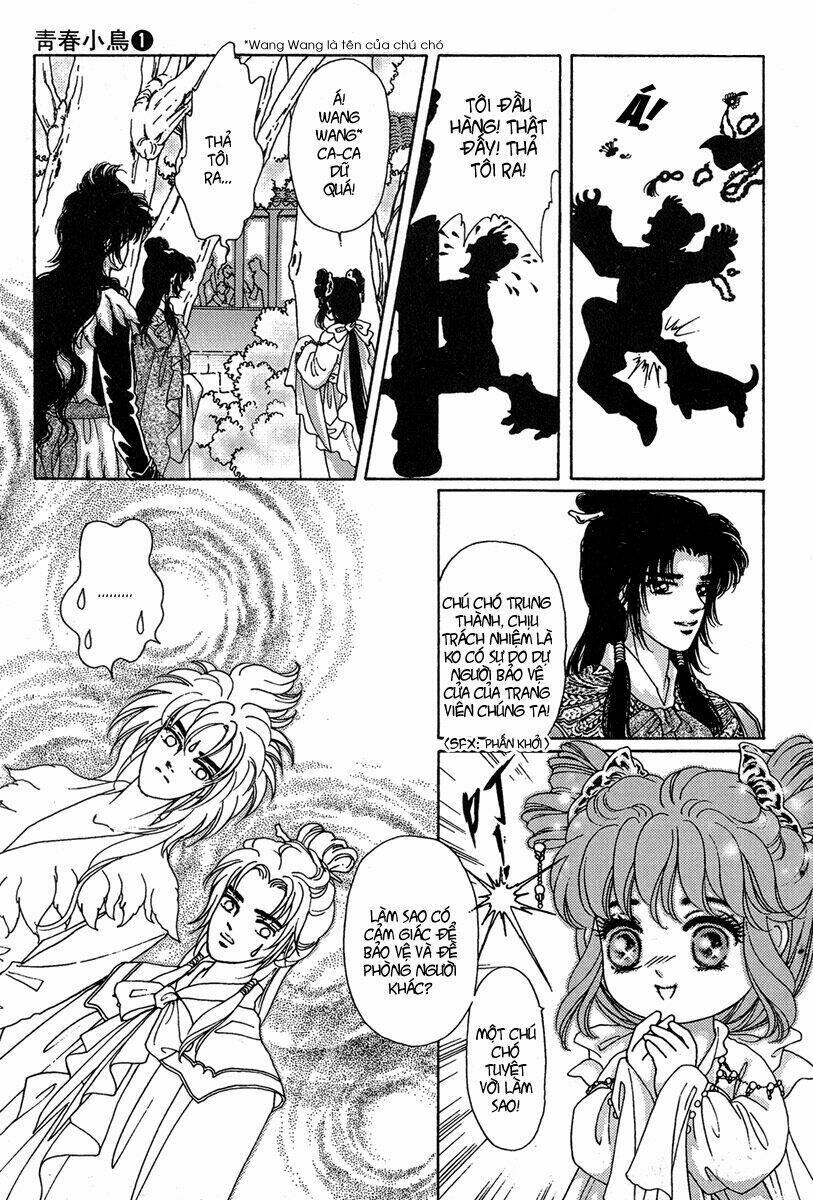 bird of youth chapter 1 54