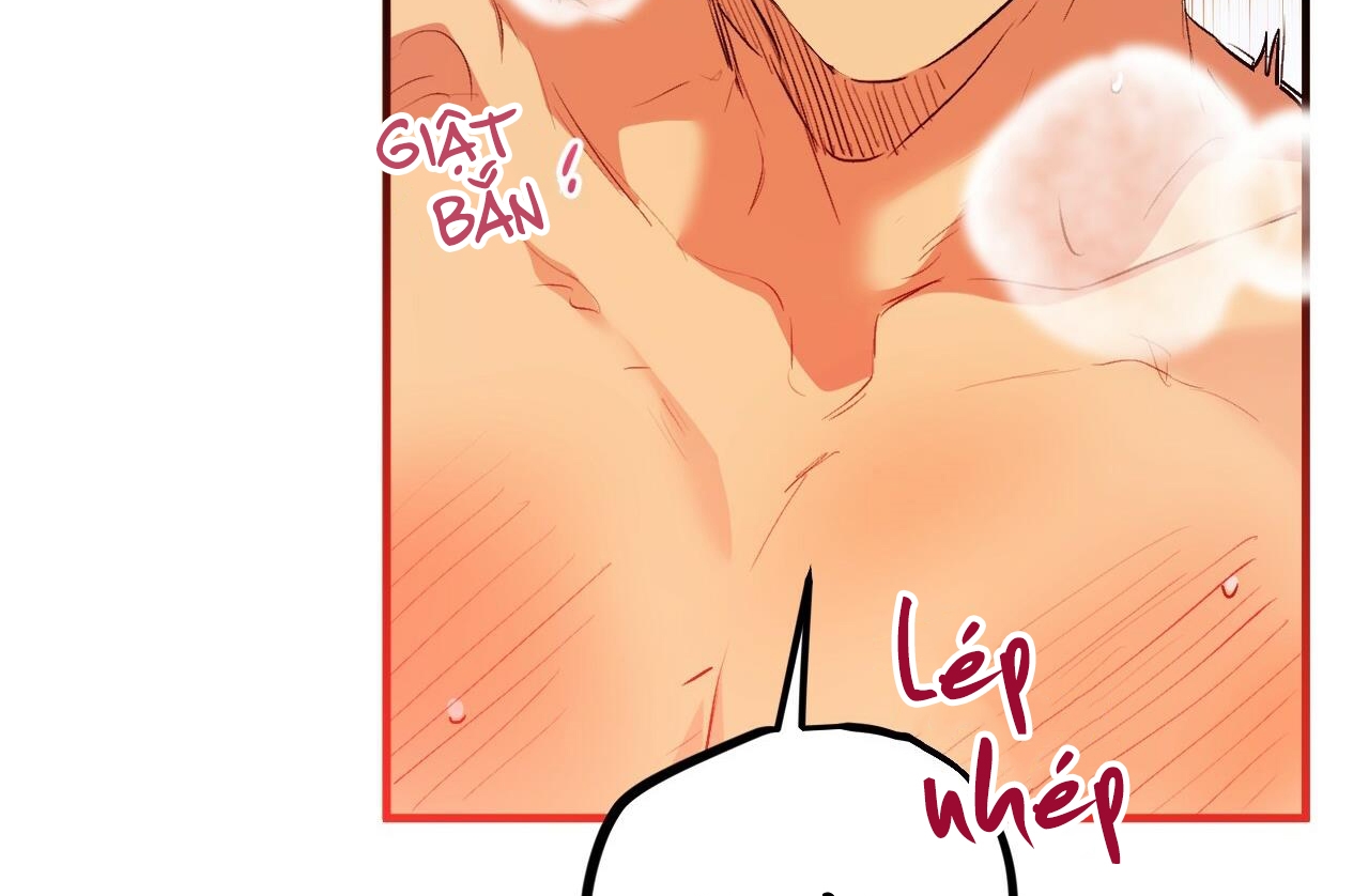 đàn thỏ của habibi chapter 43 144