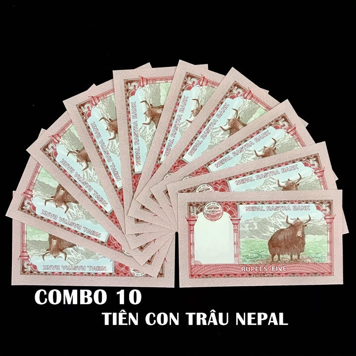 Combo 10 tờ lưu niệm hình con Trâu của Nepal, dùng để sưu tầm, lưu niệm, làm tiền lì xì độc lạ, may mắn, ý nghĩa