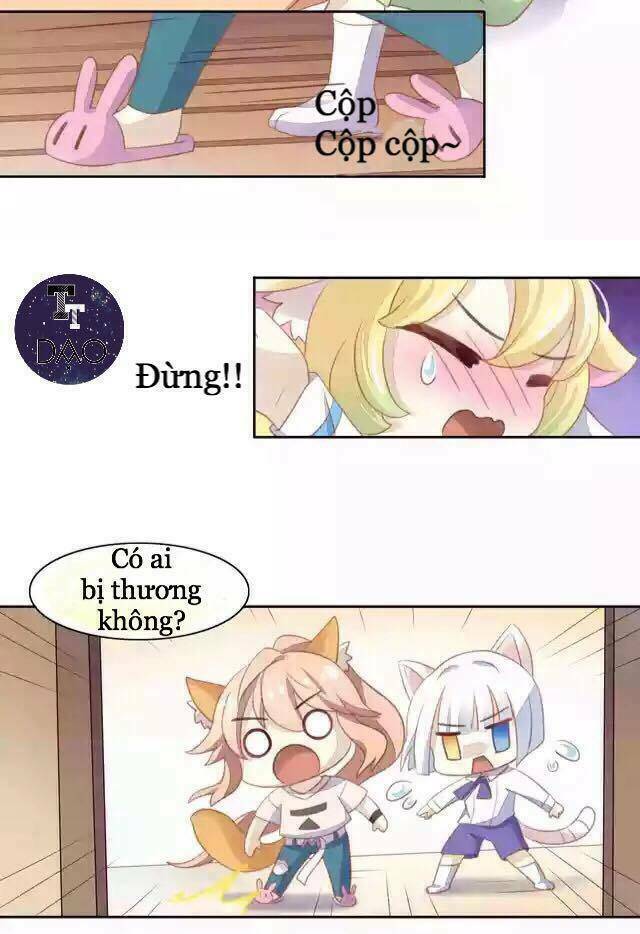 dưới móng vuốt mèo chapter 11 17