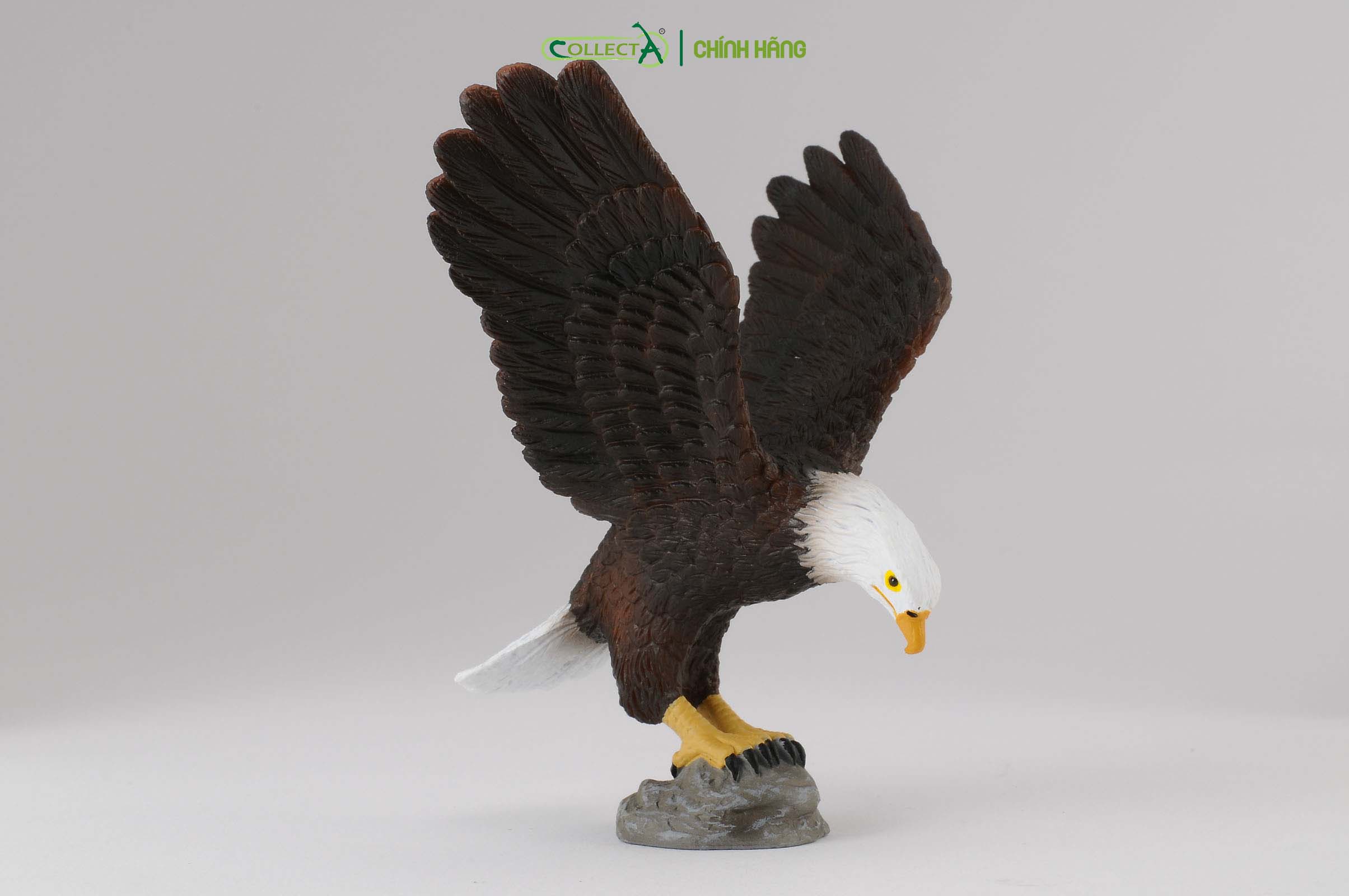 Mô hình thu nhỏ: Đại Bàng Đầu Trắng - American Bald Eagle, hiệu: CollectA, mã HS 9651440[88383] -  Chất liệu an toàn cho trẻ - Hàng chính hãng