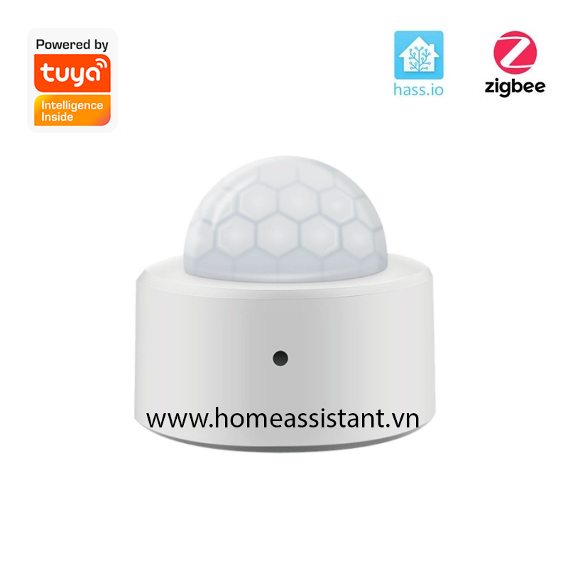 Cảm Biến Chuyển Động Hồng Ngoại Zigbee Tuya ZER02 (Hỗ trợ Home Assistant)