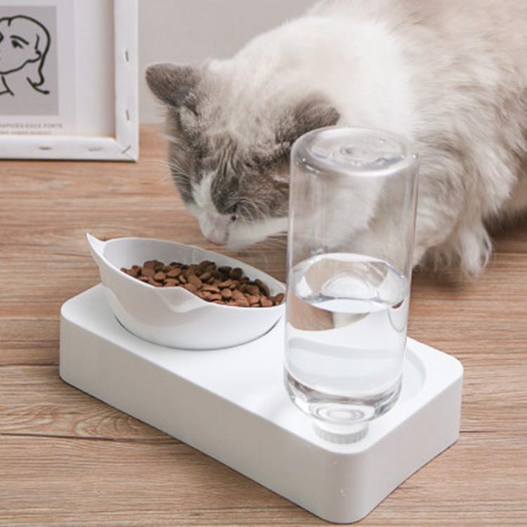 Bát ăn chống gù cho thú cưng kèm bình cấp nước tự động – Chén ăn và uống dễ thương cho chó mèo