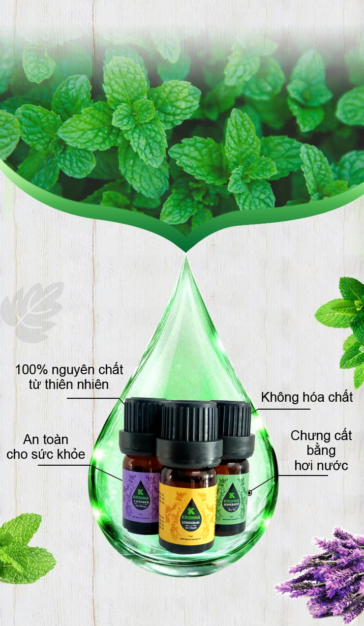 COMPO 3 CHAI TINH DẦU 5ML NGUYÊN CHẤT NHẬP KHẨU - SẢ CHANH + BẠC HÀ + OẢI HƯƠNG - TINH DẦU XÔNG GIÚP THƯ GIÃN, XUA ĐUỔI CÔN TRÙNG, THƠM PHÒNG, NÂNG CAO CHẤT LƯỢNG CUÔC SỐNG PHÒNG